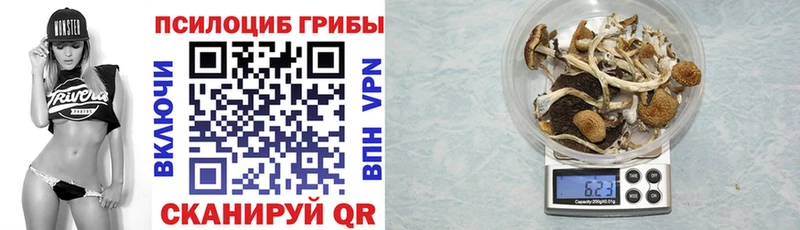 Галлюциногенные грибы Psilocybe  OMG маркетплейс  Мирный 