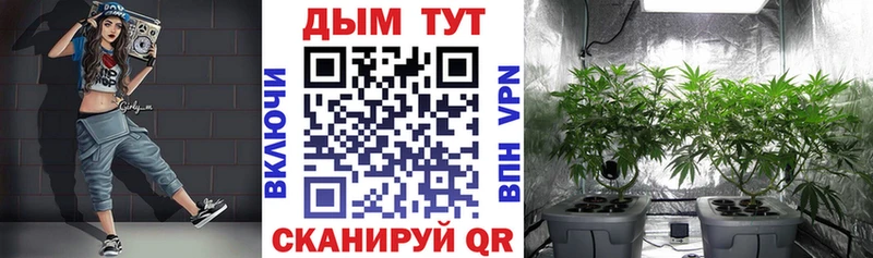 где найти Мирный Шишки марихуана индика
